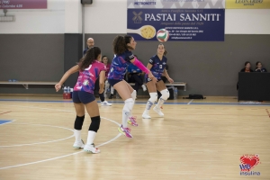 IMG_2487_CR_1