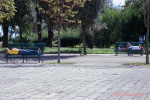 IMG_4863_PS